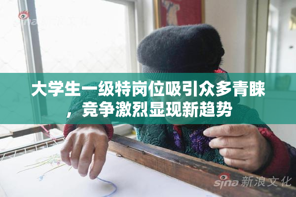 大学生一级特岗位吸引众多青睐，竞争激烈显现新趋势