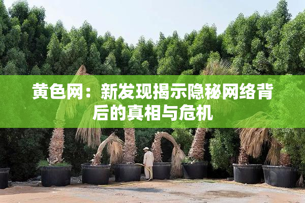 黄色网：新发现揭示隐秘网络背后的真相与危机