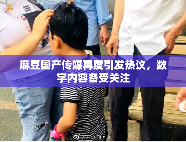 麻豆国产传媒再度引发热议，数字内容备受关注