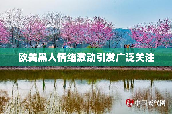 欧美黑人情绪激动引发广泛关注