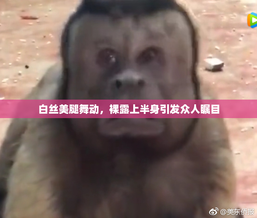 白丝美腿舞动，裸露上半身引发众人瞩目