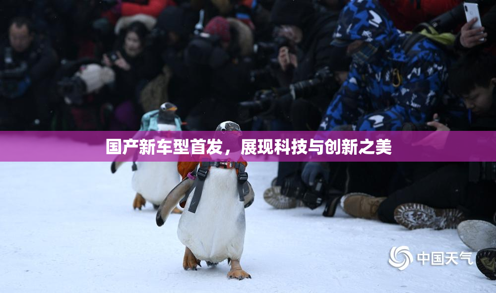 国产新车型首发，展现科技与创新之美
