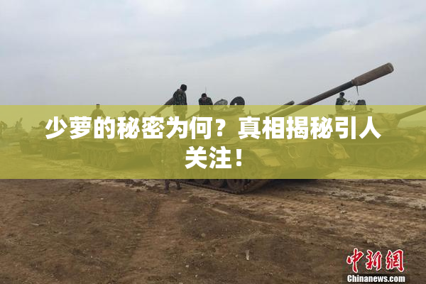 少萝的秘密为何？真相揭秘引人关注！