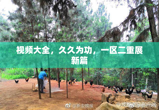 视频大全，久久为功，一区二重展新篇