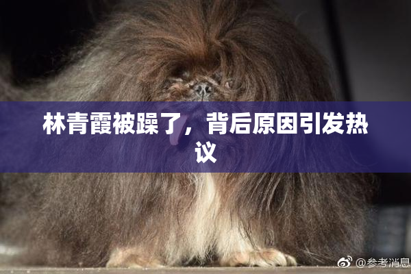 林青霞被躁了，背后原因引发热议