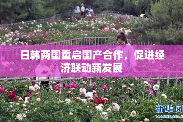 日韩两国重启国产合作，促进经济联动新发展