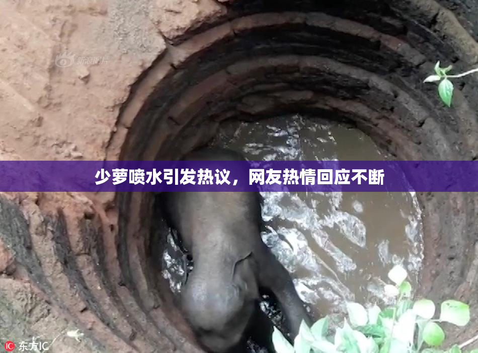 少萝喷水引发热议，网友热情回应不断