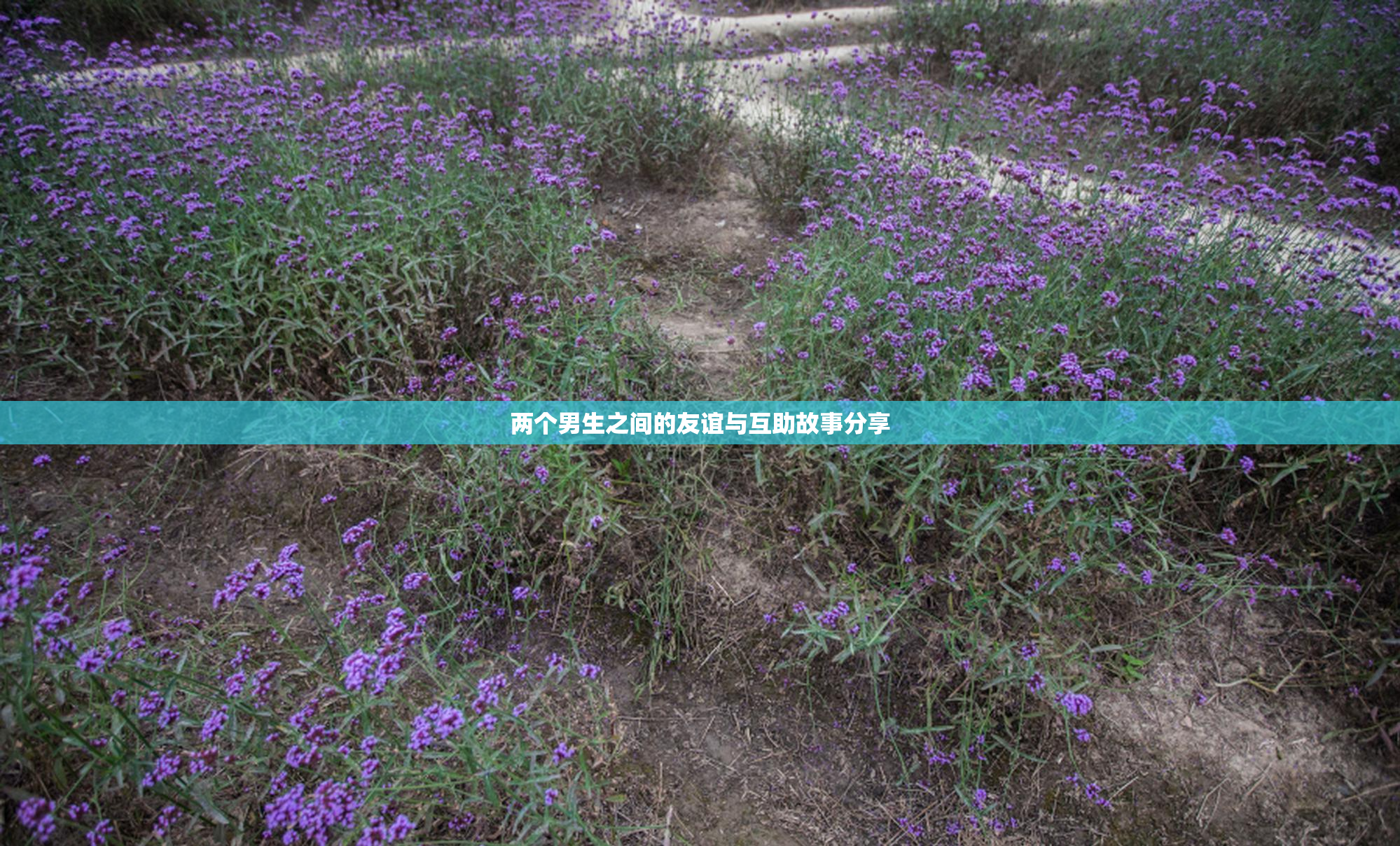 两个男生之间的友谊与互助故事分享