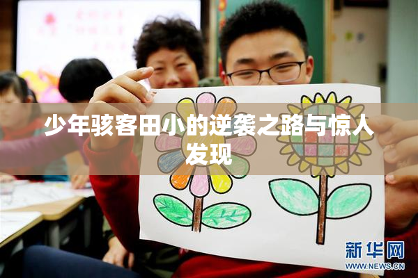 少年骇客田小的逆袭之路与惊人发现