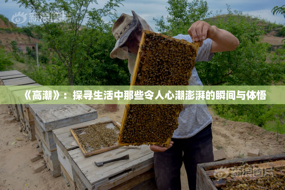 《高潮》：探寻生活中那些令人心潮澎湃的瞬间与体悟