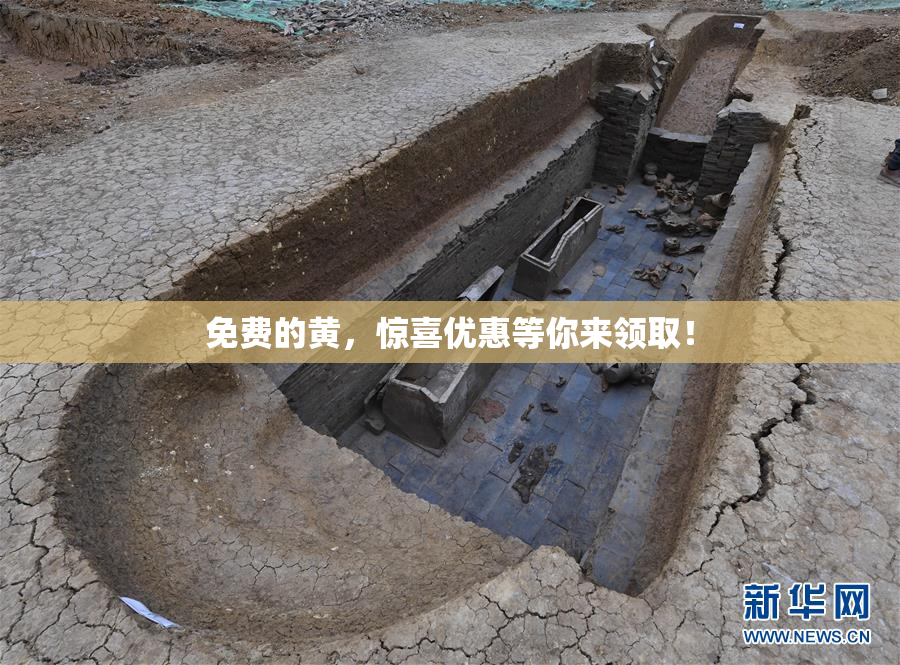 免费的黄，惊喜优惠等你来领取！