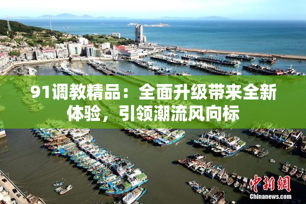 91调教精品：全面升级带来全新体验，引领潮流风向标