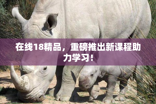 在线18精品，重磅推出新课程助力学习！