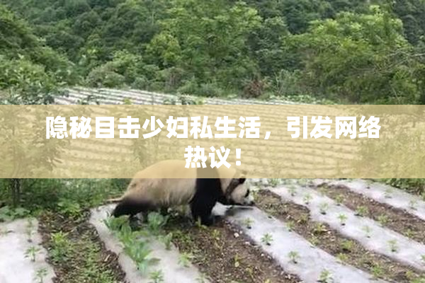 隐秘目击少妇私生活，引发网络热议！
