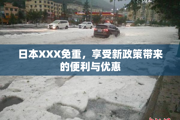 日本XXX免重，享受新政策带来的便利与优惠