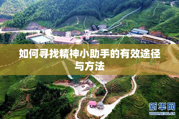 如何寻找精神小助手的有效途径与方法