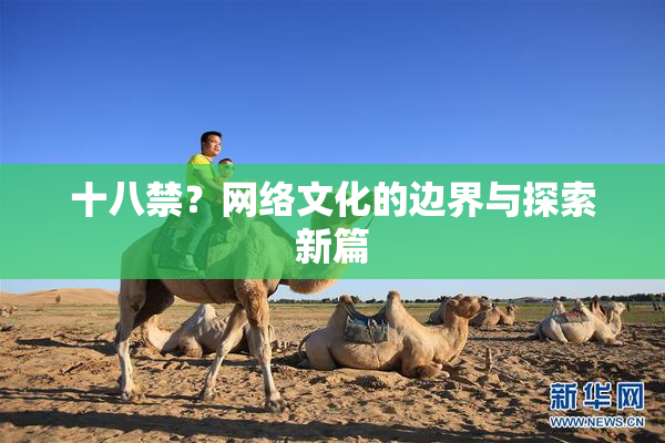 十八禁？网络文化的边界与探索新篇