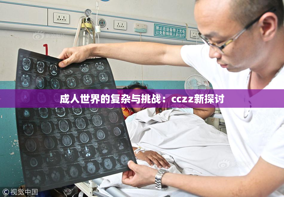 成人世界的复杂与挑战：cczz新探讨
