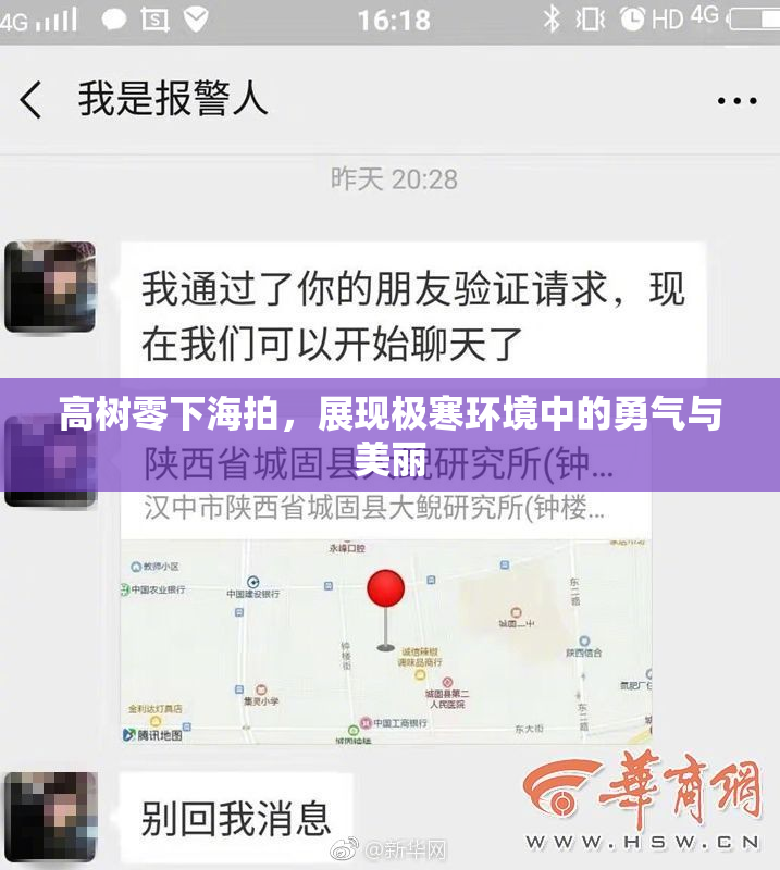 高树零下海拍，展现极寒环境中的勇气与美丽