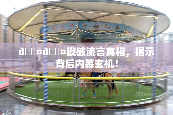 🐤🐤戳破流言真相，揭示背后内幕玄机！
