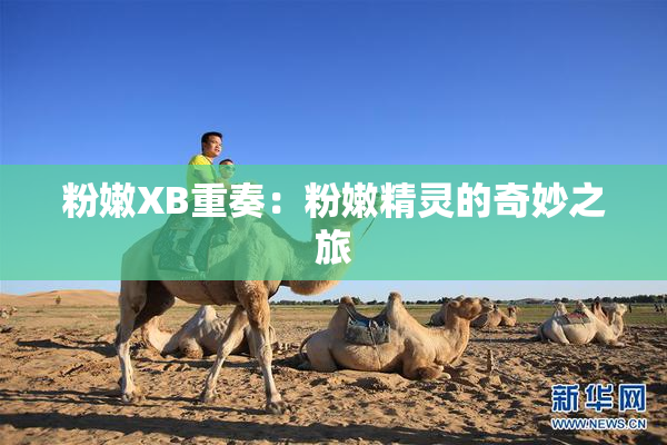 粉嫩XB重奏：粉嫩精灵的奇妙之旅
