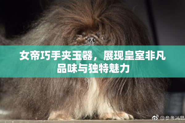 女帝巧手夹玉器，展现皇室非凡品味与独特魅力