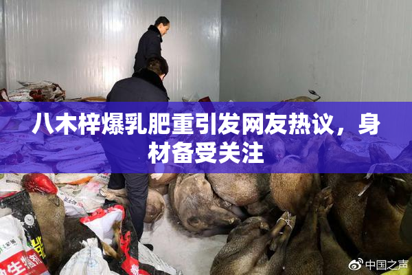 八木梓爆乳肥重引发网友热议，身材备受关注