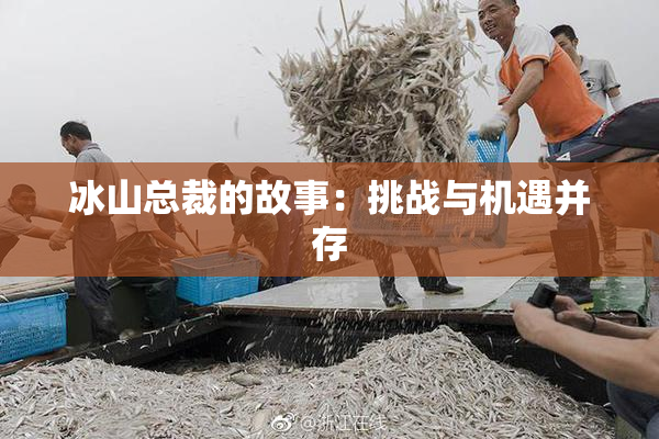 冰山总裁的故事：挑战与机遇并存