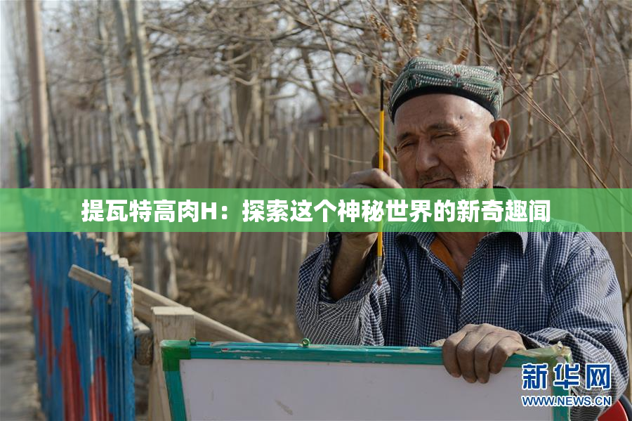 提瓦特高肉H：探索这个神秘世界的新奇趣闻