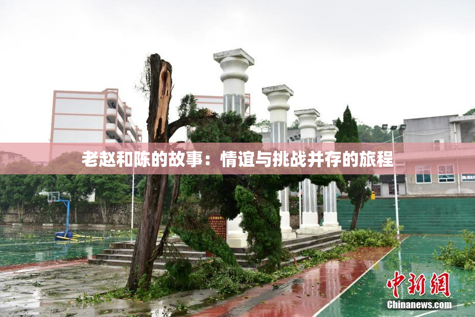 老赵和陈的故事：情谊与挑战并存的旅程