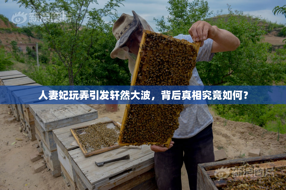 人妻妃玩弄引发轩然大波，背后真相究竟如何？