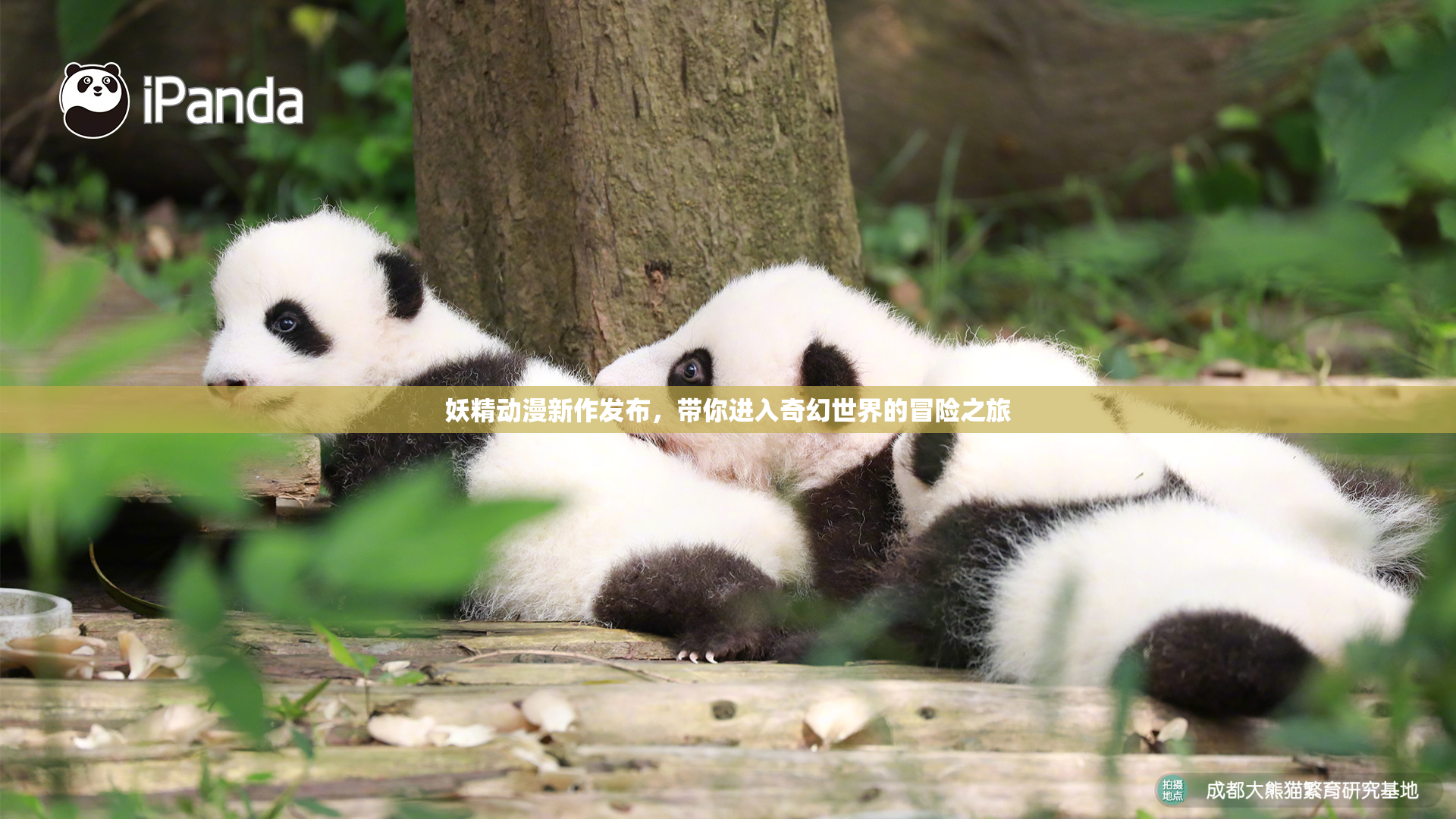 妖精动漫新作发布，带你进入奇幻世界的冒险之旅