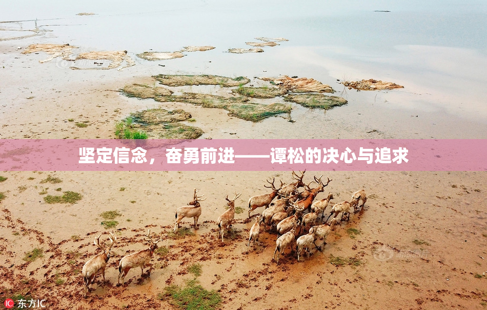 坚定信念，奋勇前进——谭松的决心与追求