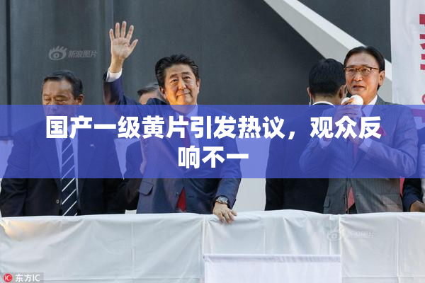 国产一级黄片引发热议，观众反响不一