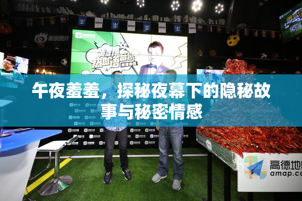 午夜羞羞，探秘夜幕下的隐秘故事与秘密情感
