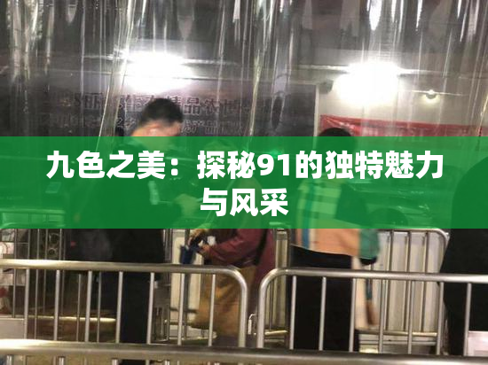 九色之美：探秘91的独特魅力与风采