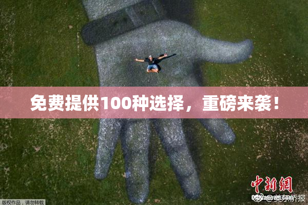 免费提供100种选择，重磅来袭！