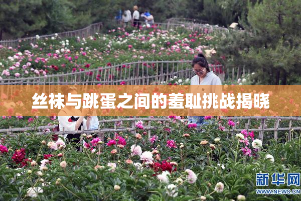 丝袜与跳蛋之间的羞耻挑战揭晓