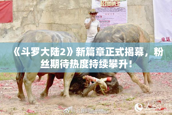 《斗罗大陆2》新篇章正式揭幕，粉丝期待热度持续攀升！