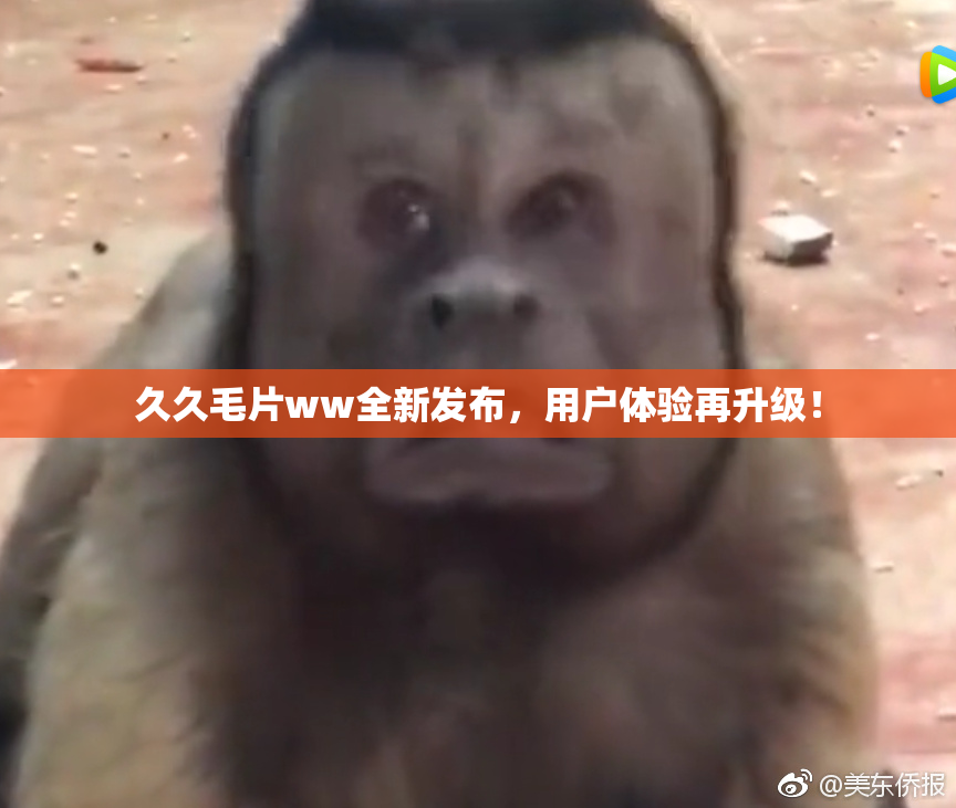 久久毛片ww全新发布，用户体验再升级！