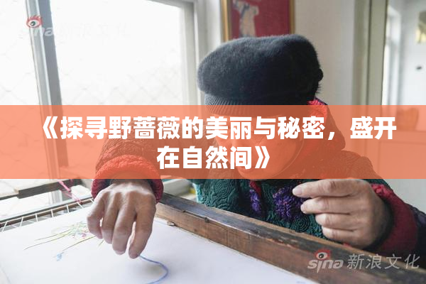 《探寻野蔷薇的美丽与秘密，盛开在自然间》