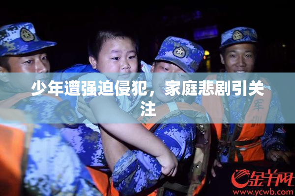 少年遭强迫侵犯，家庭悲剧引关注