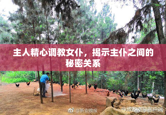 主人精心调教女仆，揭示主仆之间的秘密关系