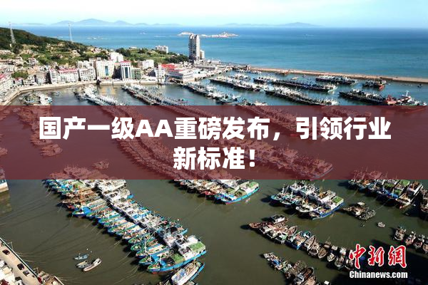 国产一级AA重磅发布，引领行业新标准！