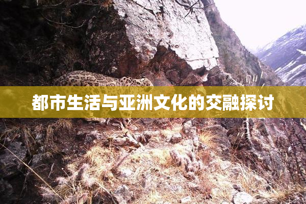 都市生活与亚洲文化的交融探讨