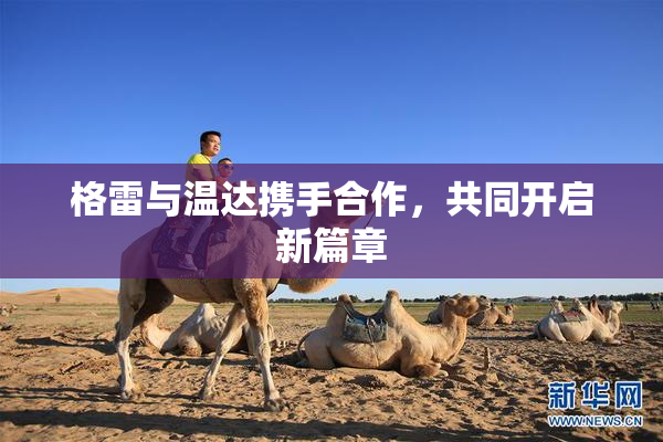 格雷与温达携手合作，共同开启新篇章