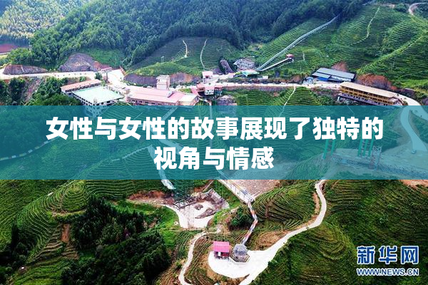 女性与女性的故事展现了独特的视角与情感