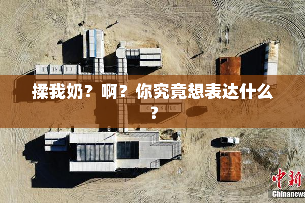 揉我奶？啊？你究竟想表达什么？