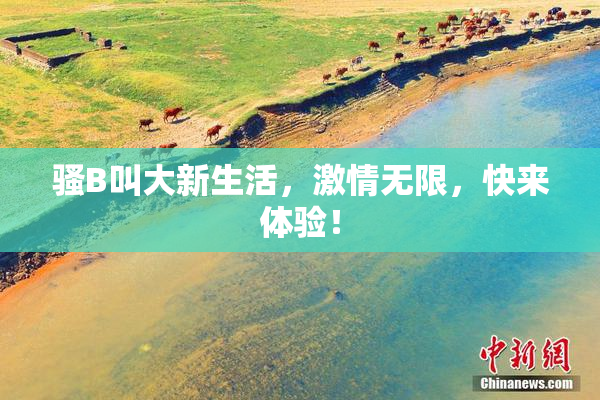 骚B叫大新生活，激情无限，快来体验！