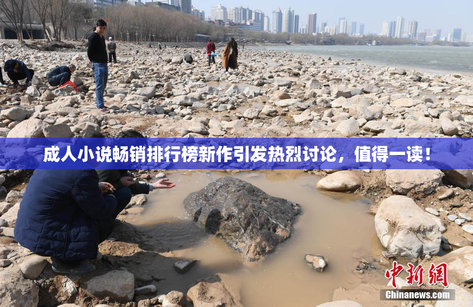 成人小说畅销排行榜新作引发热烈讨论，值得一读！